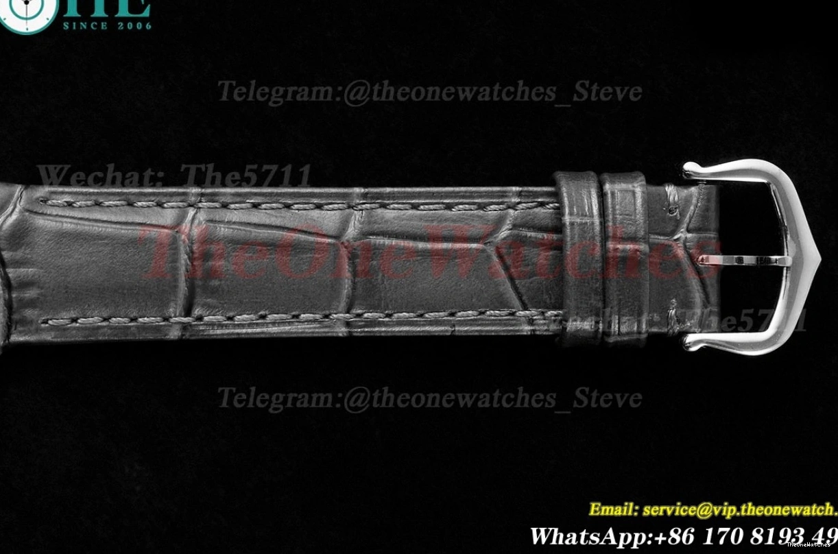 Quartz Grey Dumont Santos SS Dial AF LE Silver 0116